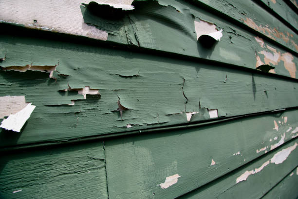 Recycling Services for Junk in Barry, IL